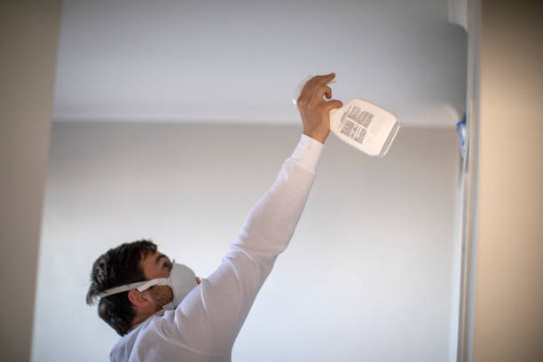 Best Crawl Space Mold Removal  in Edmonston, MD