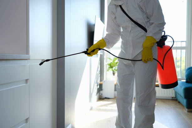 Best Emergency Mold Removal  in Edmonston, MD