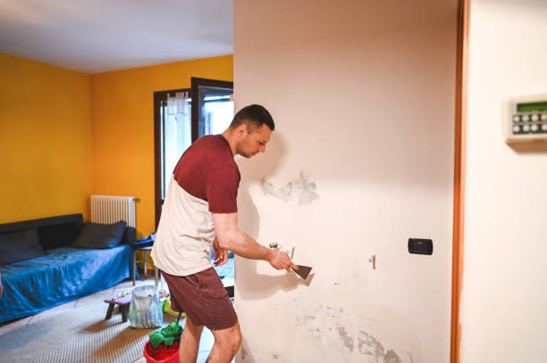Best Local Mold Removal Service  in Edmonston, MD
